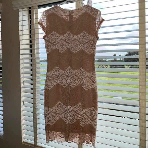 Sharagano lace light pink and white lined lace dress Size4 - Picture 3 of 8